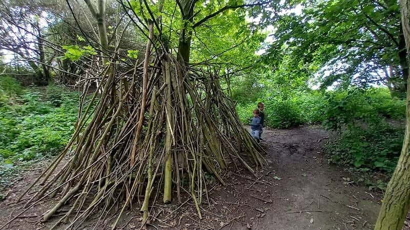 Millennium Woodland - Image 1