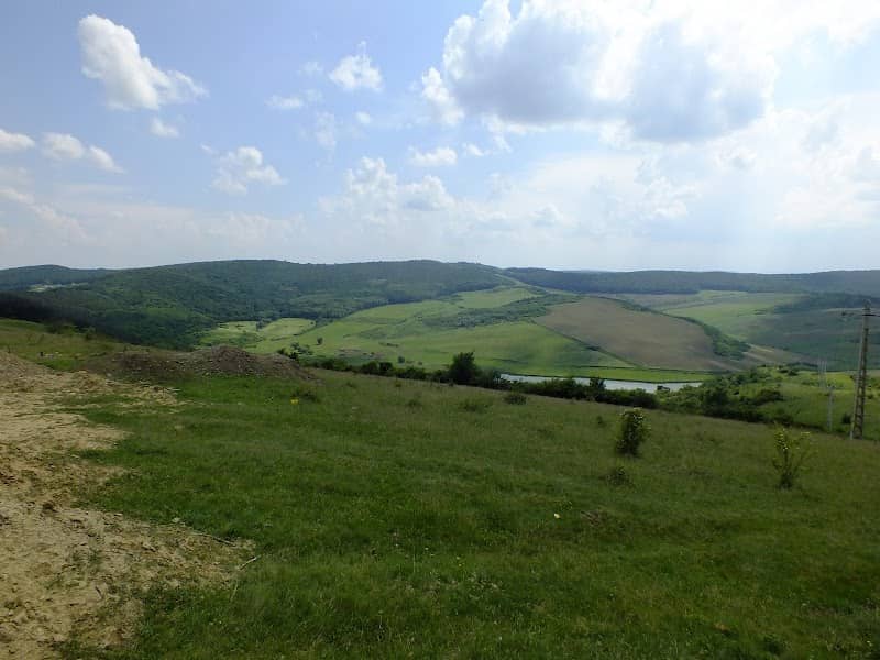 Pădurea Săbed - Image 1