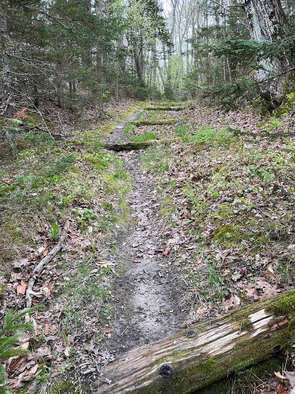 Denny Reed Trail Head - Image 3