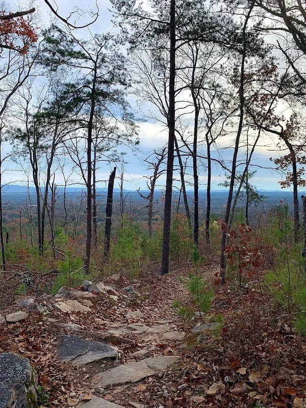 Coldwater Mountain Bike Trails, Anniston Trailhead - Image 1