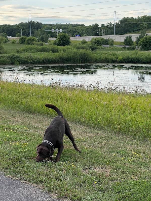 Teal Lake Park - Image 2