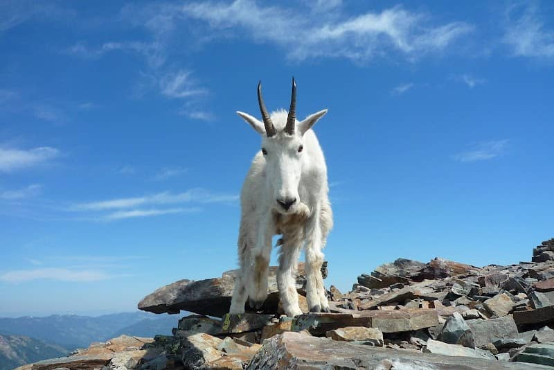 Friends of Scotchman Peaks Wilderness - Image 2