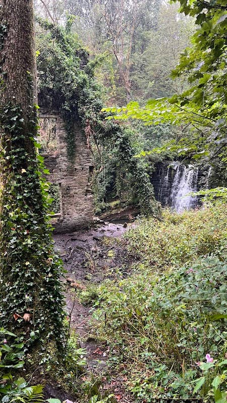 Ashworth Waterfall - Image 2