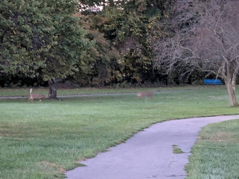 Miller Park Walking Track - Image 1