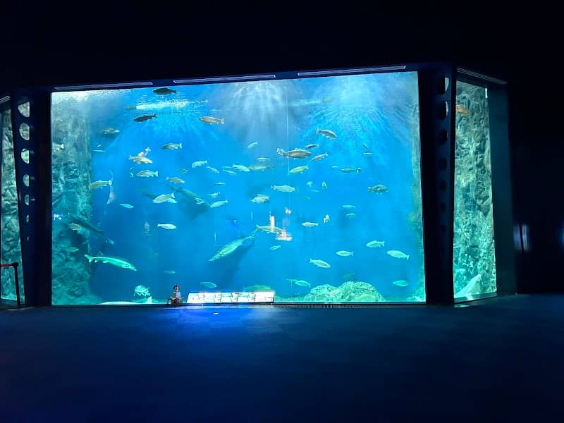 Chitose Salmon Aquarium - Image 1