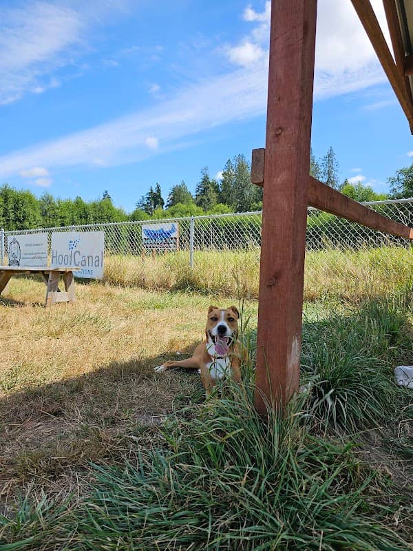 Belfair Bark Park - Image 1
