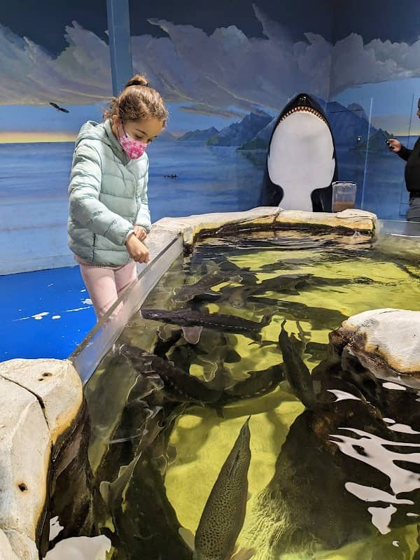 NorCal Aquarium & Wildlife - Image 2