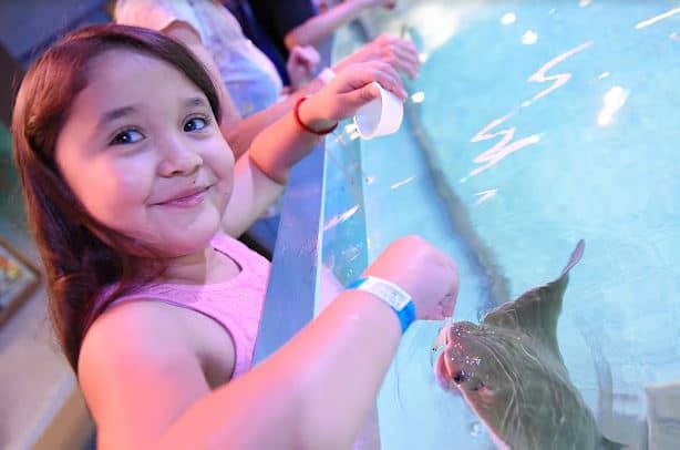 NorCal Aquarium & Wildlife - Image 1
