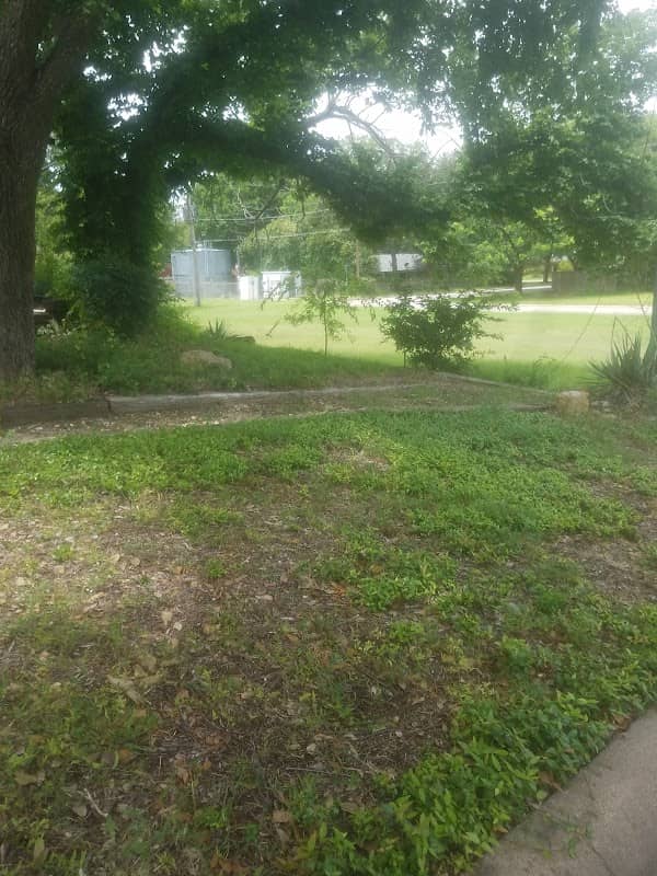 Twilight Park - Image 3