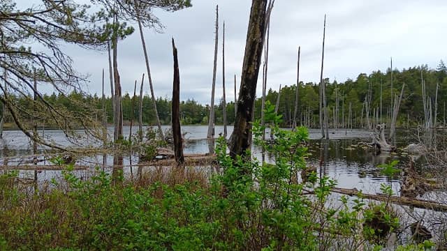 John Topits Park/ Empire Lakes - Image 2