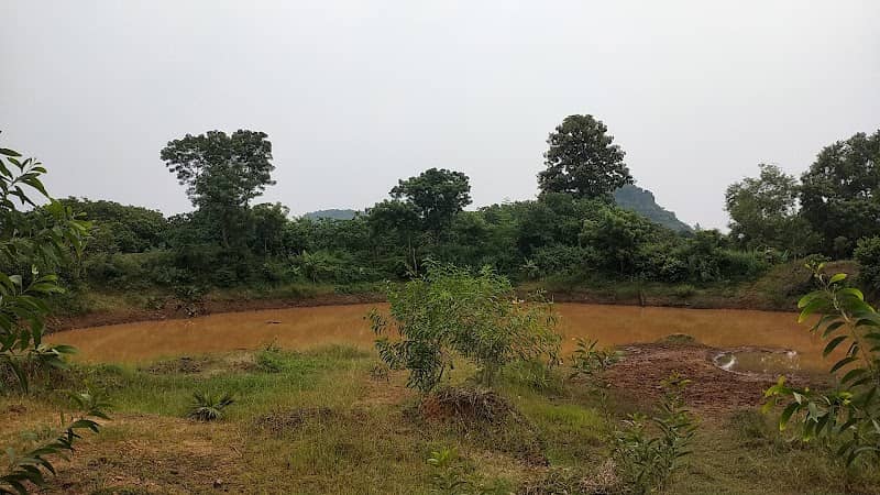 Yerraya's feild peddapalli - Image 1