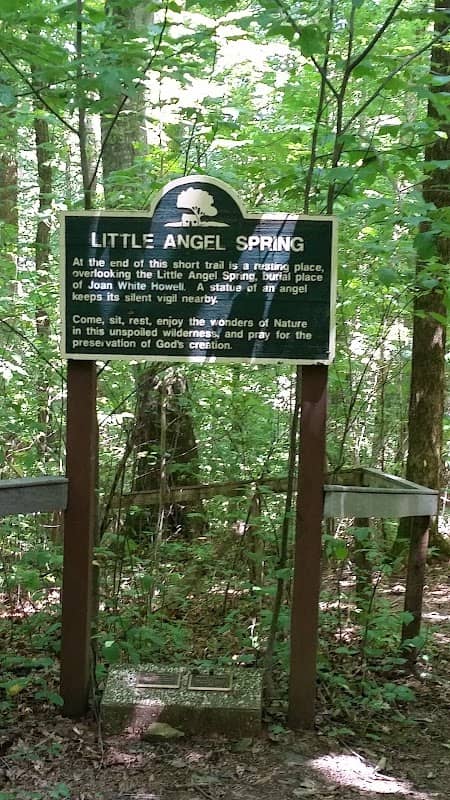 Clay Hill Memorial Forest - Image 1