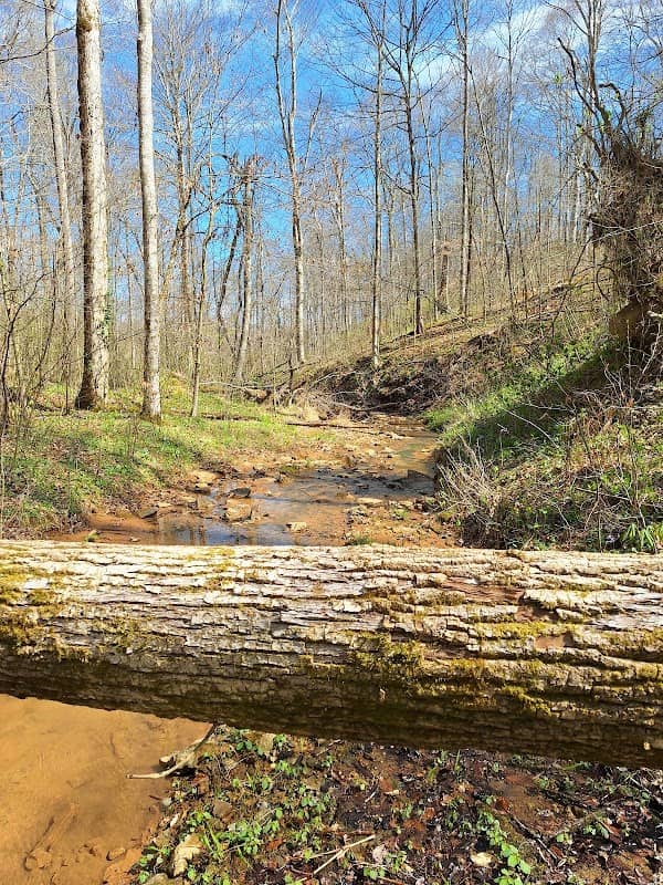 Clay Hill Memorial Forest - Image 2