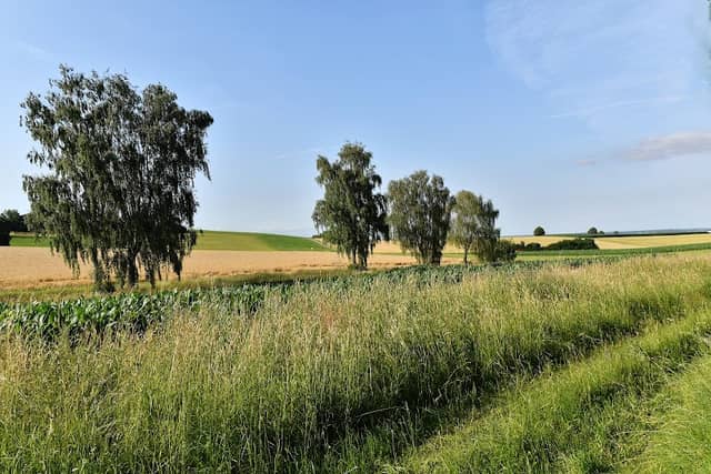 Alte Sandgrube - Image 1