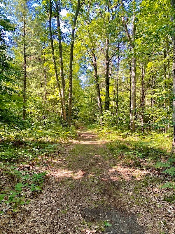 Duck Creek Natural Area - Image 1