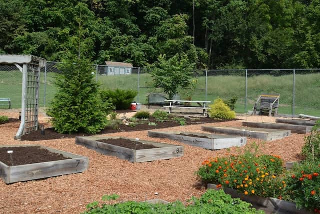 Lewistown Community Garden - Image 2