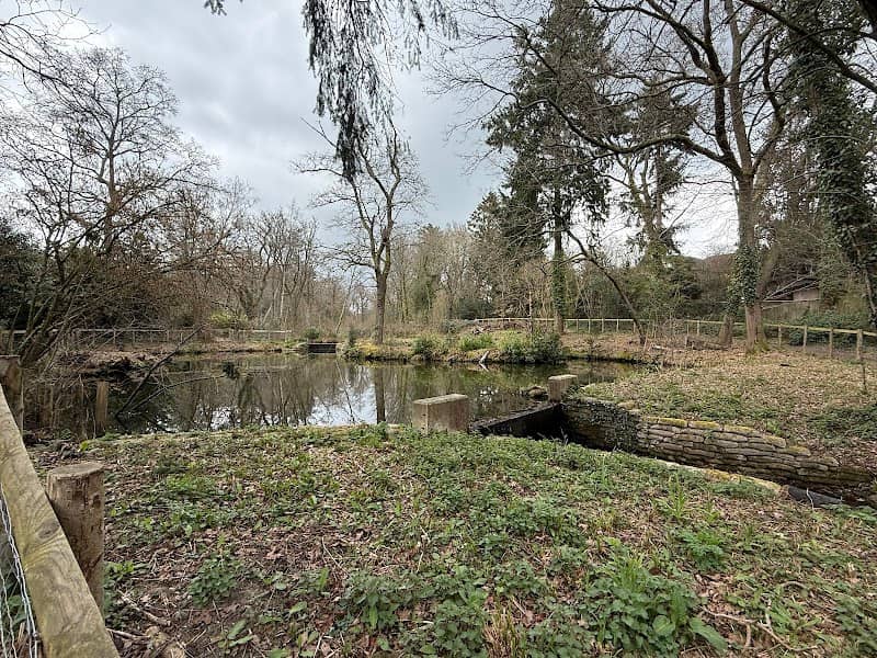 Duck Island - Image 1