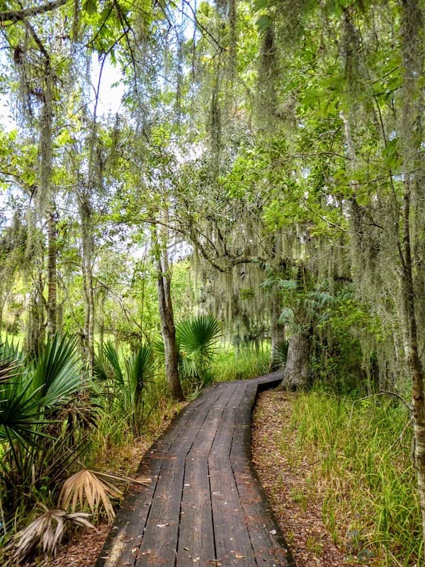Barataria Preserve Visitor Center - Image 3