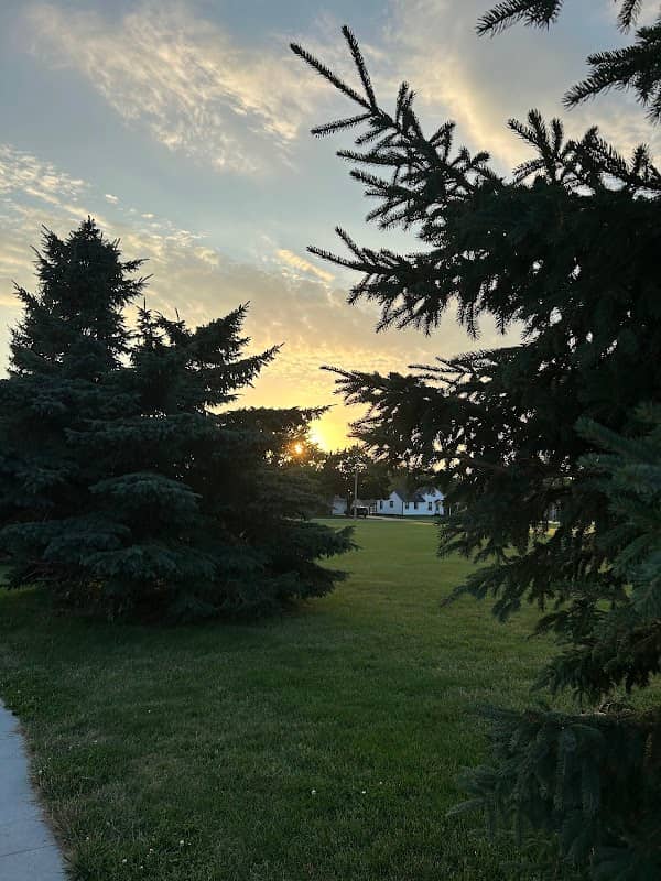 Little Trees Park - Image 1