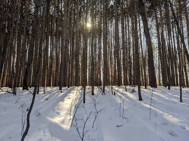 Hall's Lake Natural Area - Image 2