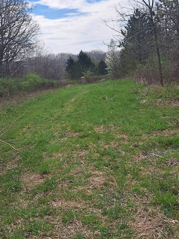 Evergreen Park - Image 1