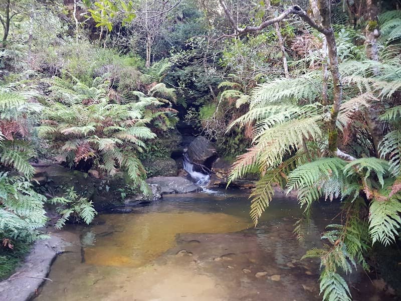 Nature track - Image 1