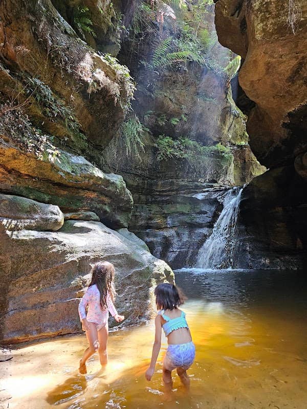 Nature track - Image 3