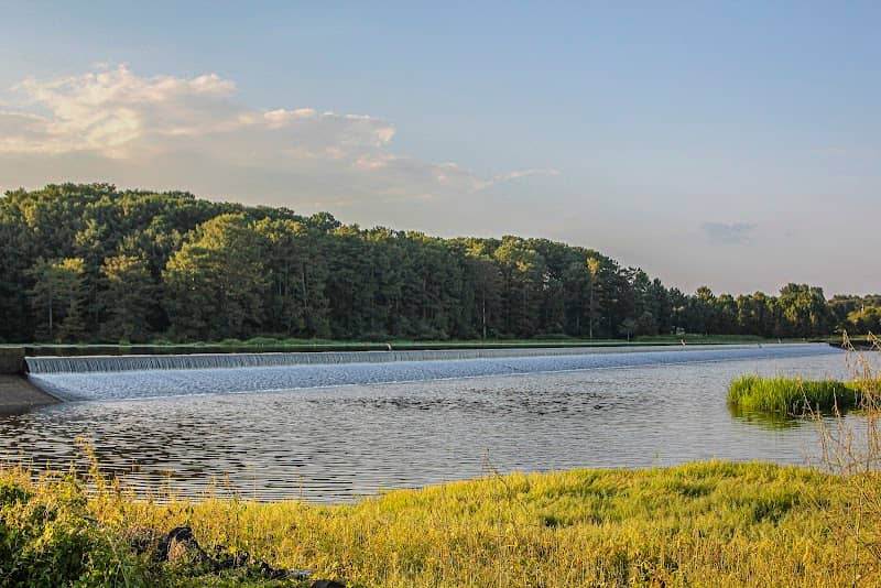 Caddo Lake Dam - Image 3