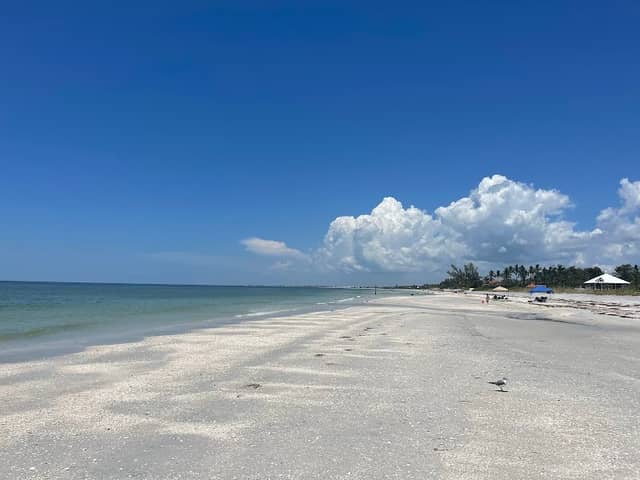 Sanibel Beach - Image 3