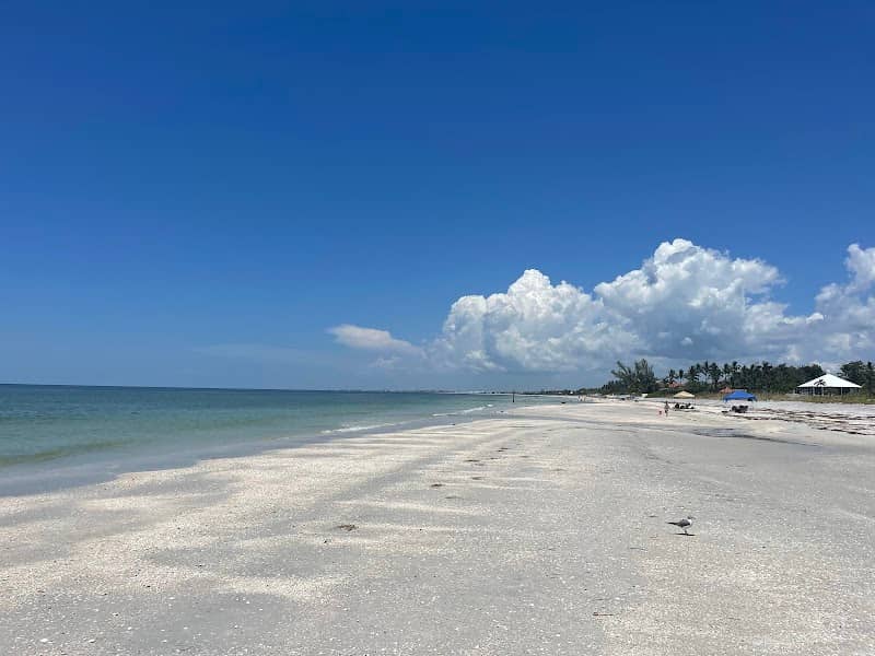 Sanibel Beach - Image 3