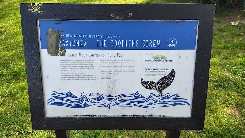 Mermaid 4 'Paxtonea The Soothing Siren' - Image 1