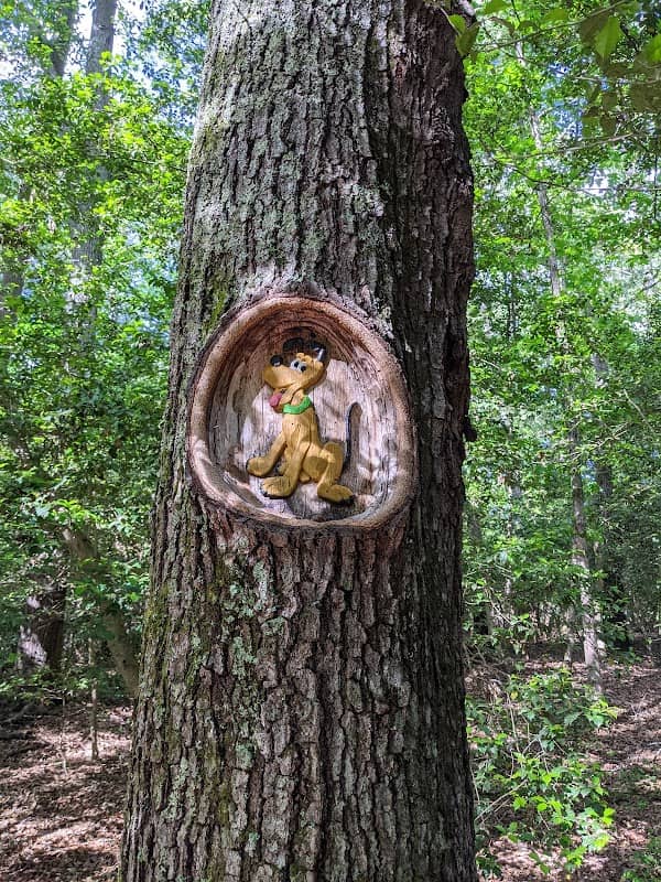 Tom Rhodes Tree Carving Trail - Image 1