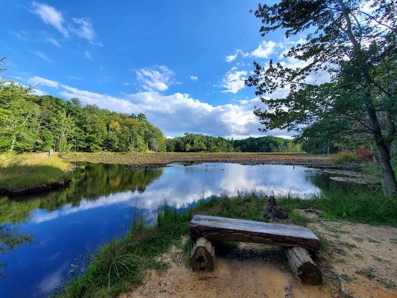 Calvert Cliffs State Park - Image 3