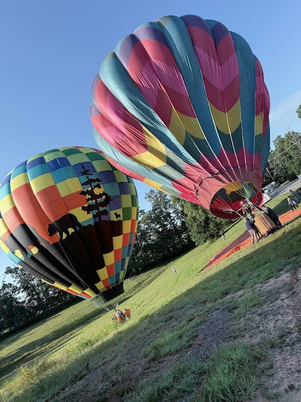 Wind Vineyards at Smith Mountain Lake - Image 2