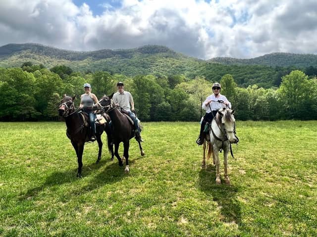 Trackrock Stables - Image 2