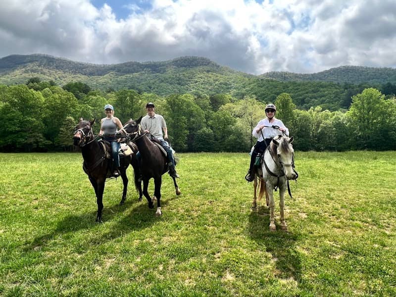Trackrock Stables - Image 2