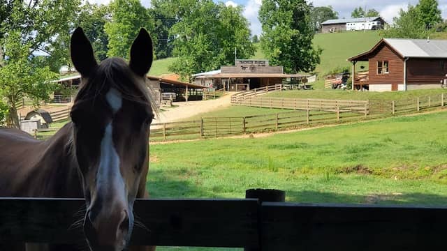Trackrock Stables - Image 1