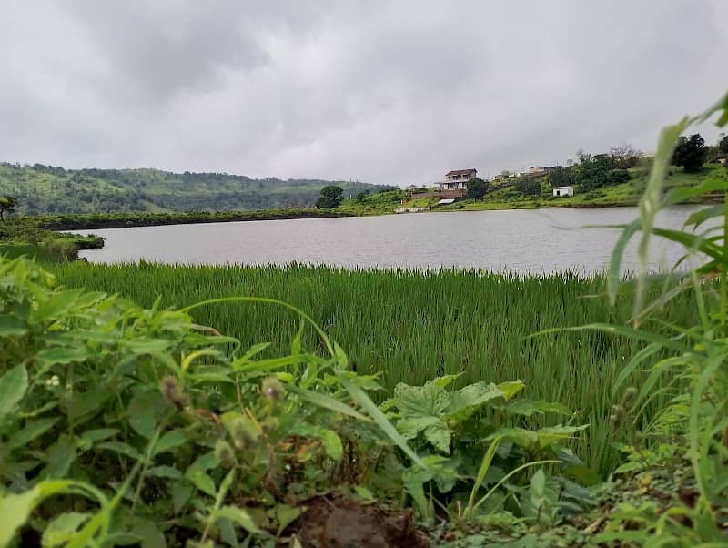 Gavande mini dam - Image 1