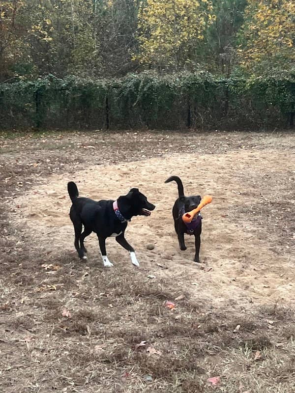 Southern Community Dog Park - Image 1