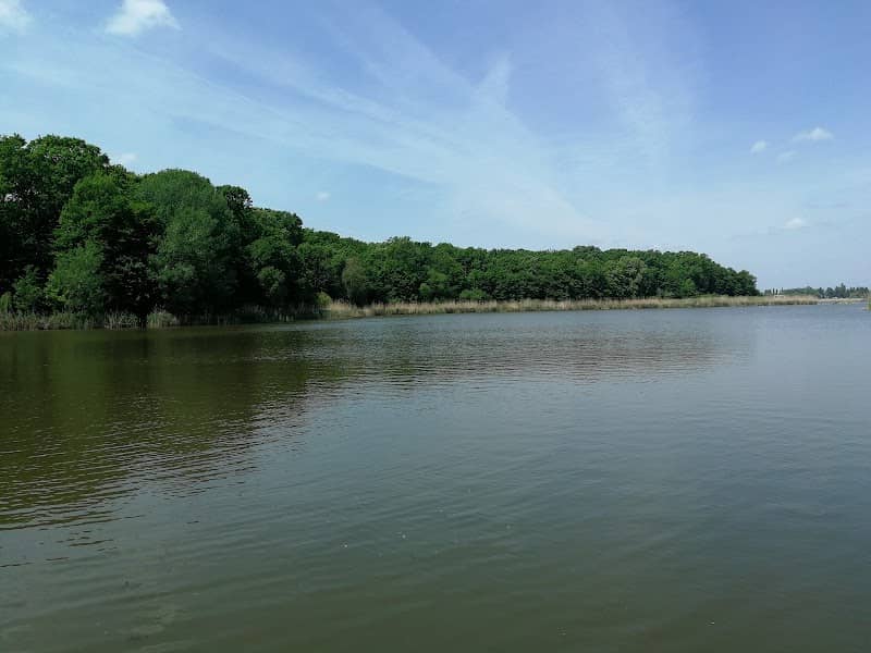 Snagov Forest - Image 1