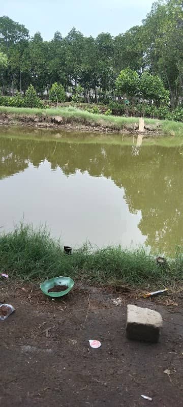 Tambak nila pak askur - Image 2