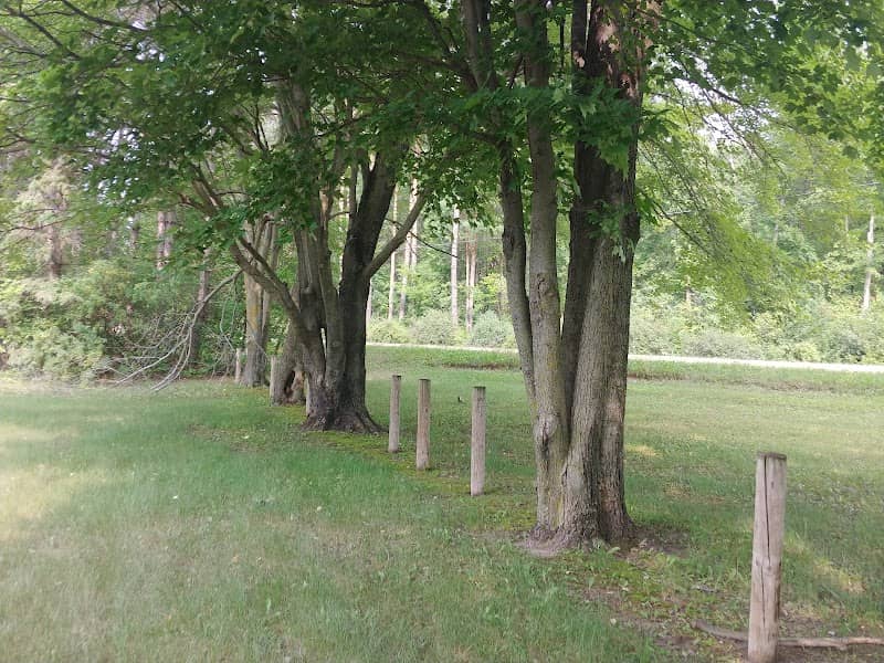 Hidden Park - Image 1