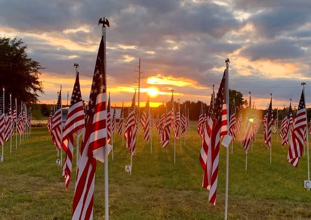 The Field of Flags - Image 1