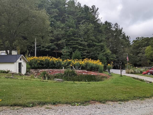 Wild Hare Retreat & Glampers - Image 1