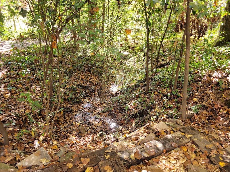 Vernon Oaks Park - Image 1