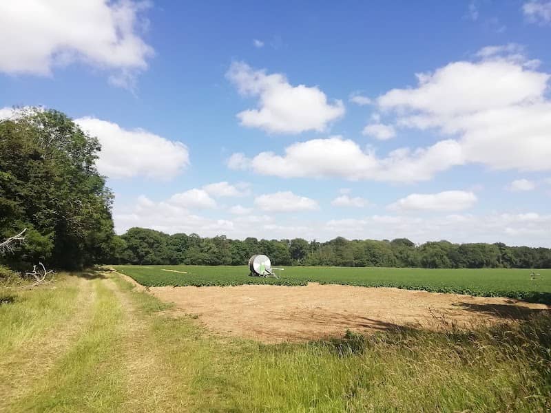 Ringland Hills - Image 2