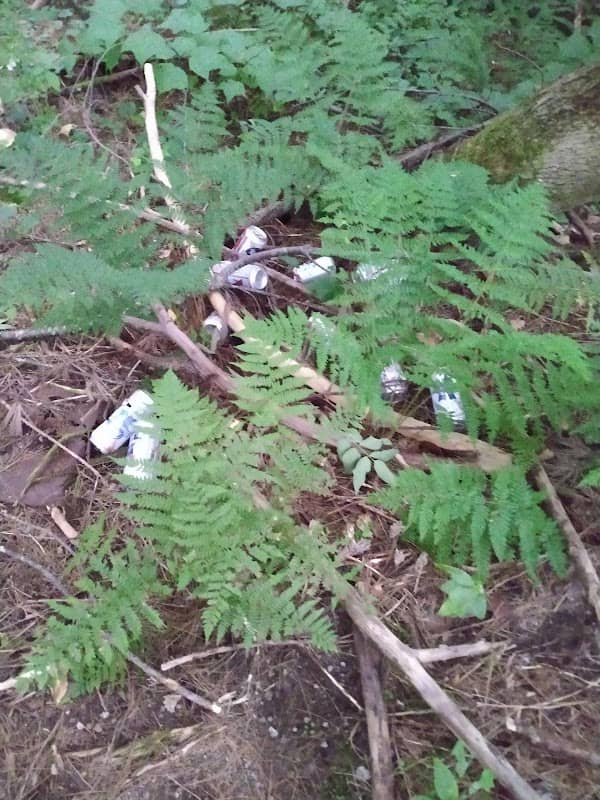 Sucker Brook Trailhead - Image 2