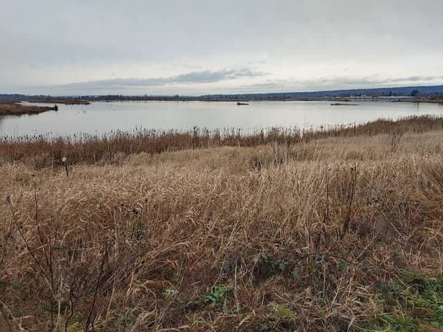 Harborview Park - Image 1