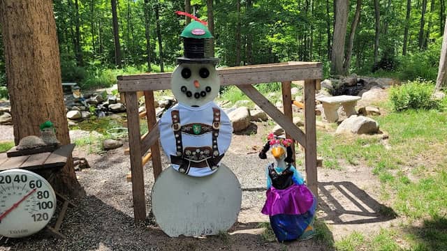 Snowman Cam - Image 2