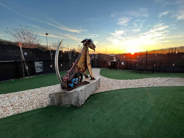 Hartsfield-Jackson Dog Park - Image 2